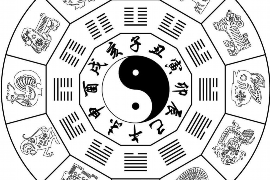 双鱼座今日运势详解